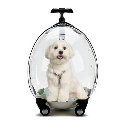 China 2022 New Design Fancy New Design Luxury Transparent Stocked Outdoor Cat Puppy Dog Pet Carry Bag Stroller Carrier for sale