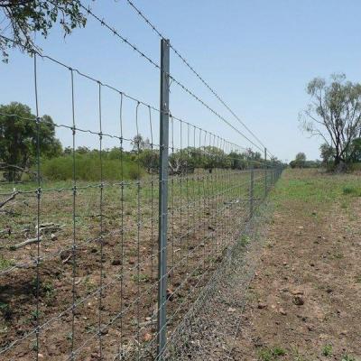 China Easily Assembled Hinged Joint Galvanized Wire Mesh Netting Deer Fencing Mesh Roll Fixed Knot Cattle Sheep Field Farm Rural Fence for sale