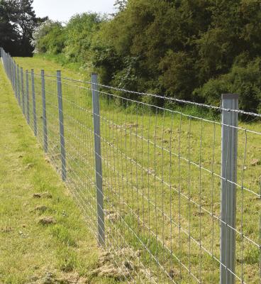 China Easily Assembled Hinged Joint Galvanized Wire Mesh Netting Deer Fencing Mesh Roll Fixed Knot Cattle Sheep Field Farm Rural Fence for sale