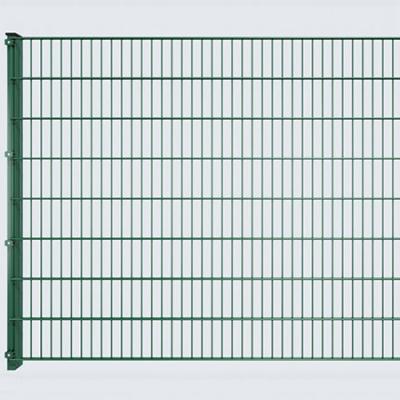 China Fence Germany 2D Double Wire Welded Mesh Fence Panel Without Bars Garden Fence European Style Curved Twin Metal Fence for sale