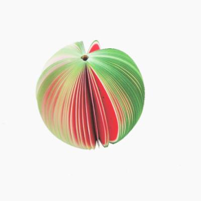 China creative 3d fruit watermelon note printed notebook GR321045 for sale