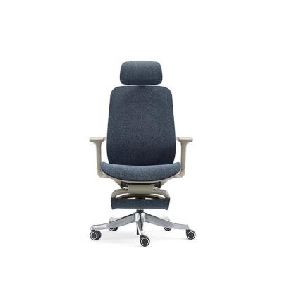 China (Height)Factory Sale Adjustable Directly Swivel Ergonomic Chair With Extended Wire-Control Function Executive Chair For Office Desks/Office Use for sale