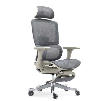 China (Size) Ergonomic Chair Company Mesh Lumbar Support Mesh Ergonomic Adjustable Office Chair for Workstation and Manager for sale