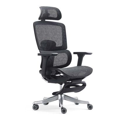 China (Size) Ergonomic Chair Company Mesh Lumbar Support Mesh Ergonomic Adjustable Office Chair for Workstation and Manager for sale