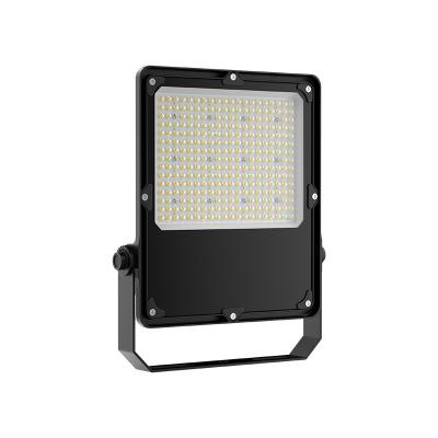 China High Efficiency 150W Flood Light 50 Watt Flood Light Fixtures  For Garden Lighting Landscaping for sale