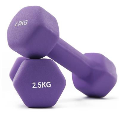 China Durable YS 3068 Standard Aerobic Dumbbell Manufacturer Rubber Dumbbells Bewitch Dumbbell Set for sale