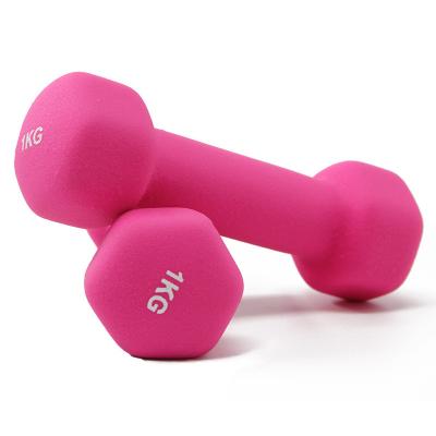 China Durable YS 3069 Workout Dumbbell Standard Rubber Hex Free Weights Adjustable Dumbbell for sale