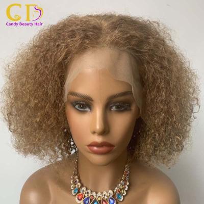 China High Quality Barely Shedding Thick Straight Soft Colored Human Hair Wigs For Women Colored Lace Front Wigs Human Hair Wig for sale