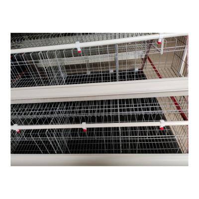 China Hot Sale Breathable Popular Chicken Cage Equipment Chicken Cage for sale