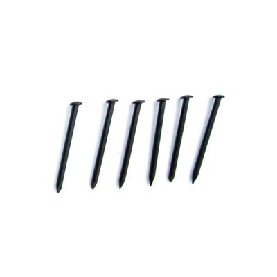 China Iron spikes/head lost popular flat iron wire nail/ordinary construction nail for sale