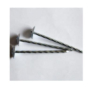 China Flared Building Construction Use Galvanized Screw Roofing Nails for sale