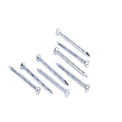 China Flat Steel Nails Popular Customized Carbon Steel Common Nails Flat Spiral Smooth Nails for sale