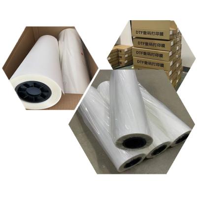 China Apparel 30CM 60CM 120CM*100M A3 A4 Pet Film Sheets Roll DTF Printing Film For Clothing Tshirts Textile Shoes Hats Jars Printing for sale