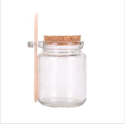 China 250ml Food Bath Salt Glass Jar With Spoon Glass Body Scrub Jar 8.5oz Glass Seasoning Container With Cork Lid for sale