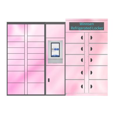 China Smart Frozen Refrigerated Automated Locker Touch Screen Service Eggs Lockers for sale