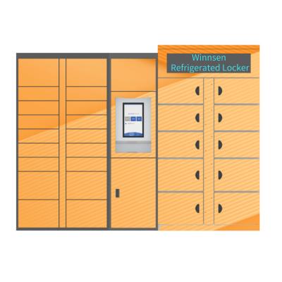 China Winnsen Electronic Refrigerated Storage Locker 24Hours Self Service Smart Cabinet for sale