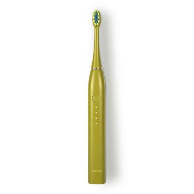 China Family Battery Operated Gold Five-color Classic Filling Toothbrush for sale