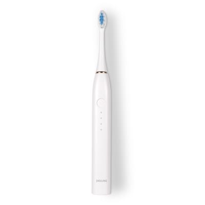 China Home Hotel Moving T1 Can Be Taken Off At Will Brush Main Automatic Power Supply Vibration Toothbrush Pink for sale