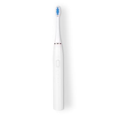 China Campus Battery Powered Simple Style Portable Electric Toothbrush for sale