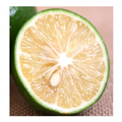 China Fresh seedless lime with best price from Sichuan China for sale