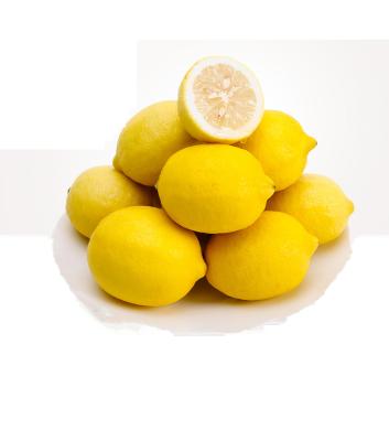 China Fresh yellow lemons from South Africa for sale