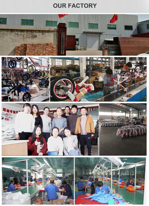 Verified China supplier - Shandong Lion Electric Technology Co., Ltd.