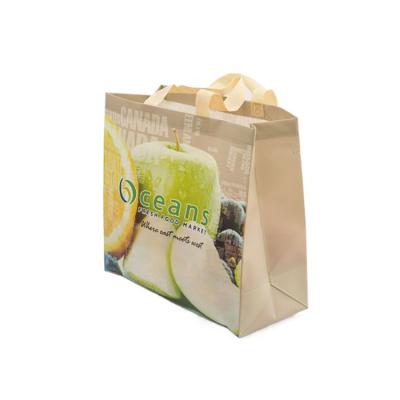 China Eco Friendly Reusable Recycled Grocery Handled Bag Laminated Non Woven Bag for sale