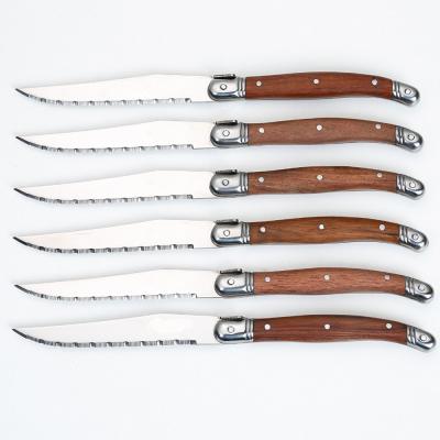 China Disposable Party Dinner 6 Pieces Of Steak Knives Set Laguiole Cutlery for sale