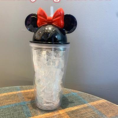 China 16oz 450ML Double Wall Student Water Cup Acrylic Viable Plastic Tumbler Mickey Mouse Ear Tumbler With Straw And Lid for sale