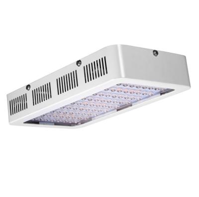 China Interiores llevada espectro completo crecen las luces, hidropónico 70W llevado crecen luces en venta