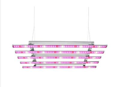 China 250W la tira LED interior crece la planta agrícola vertical hecha salir alto PAR de la MAZORCA SMD de las luces en venta