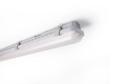 China Milkly 24 Inch Vapor Tight Fluorescent Light Fixture 20W 240V Clear Cover for sale