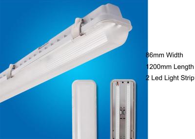 China 40W Hunging conduziu a tri luz da prova Waterproof 1200MM com tampa geada/leitosa à venda