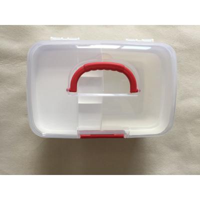 China 2019NEW OEM Custom Plastic Pill / Box / Container / Tablet Organizer PB1802-1 for sale