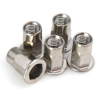 China Heavy Industry China Supplier Stainless Steel Long Rivet Nut Nut for sale