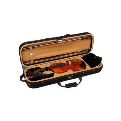 China Popular High Grade Hard Violin Case Oblong Shape Light And Strong for sale