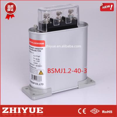 China Power 40kvar 1200V Low Voltage Shunt Capacitor Price for sale