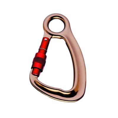 China Outdoor Main Chain OEM Service Mountaineering Snap Hook Carabiner for sale