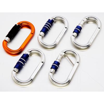 China Durable High Quality Forest Amusement Park OEM Mountain Climbing Carabiner for sale