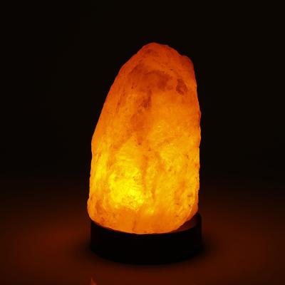 China Nature Salt Lamp Best-Selling Himalayan Battery Hand Carved Crystal Craft Organic Material Salt Night Lamp for sale