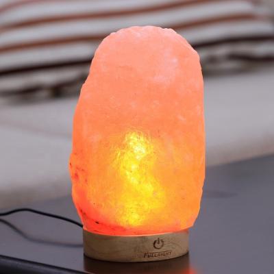 China Nature 5v USB Open Crystal Night Light Natural Himalayan Salt Hand Carved Home Decor Lamps for sale