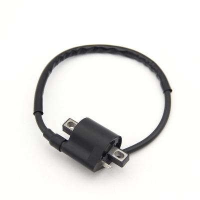 China Plastic+electronic Components Motorcycle Ignition Coil For Aprilia RS 125 Scooter Parts Malaguti F10 Jet Line MBK Booster R Yamaha High Voltage Ignition Coil for sale