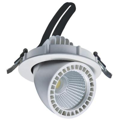 China Store 30w 2.4G wireless changeover TDC and dimmable gimbal led downlight for sale