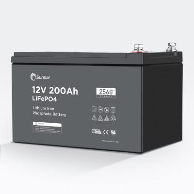 China Home Appliance Deep Cycle 12.8V 100Ah LiFePO4 Battery For Storage 12V 100Ah Solar Power Systems for sale