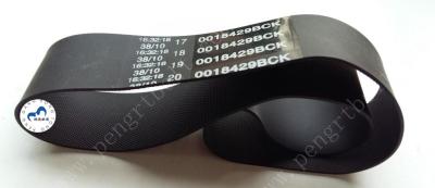 China ATM NCR Parts 5877 Presenter Belt 009-0018429/445-0018429 Transport Bck Belt 0090018429/44500184295 for sale