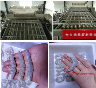 China Commerical Restaurant Peeling Peeler/Shrimp Shell Removing Machine For Sale for sale