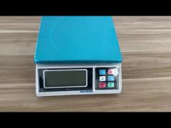  Digital Weighing Scale