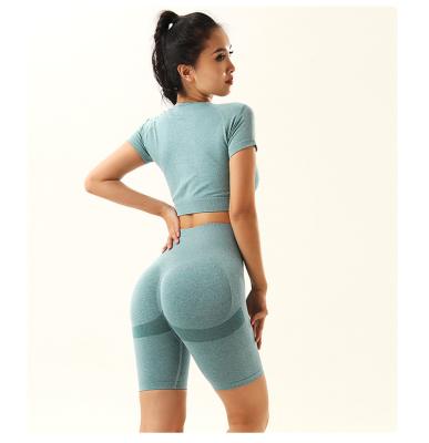 China Breathable Stain Ladies Sports Gym Wear High Waist Hip Lift Sports Fitness Pants Sets 2 Piece Head Yoga Shorts Seamless Set for sale