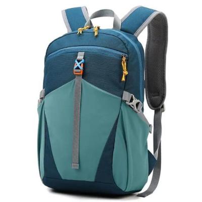 China Outdoor Sports Backpack New Design For Men Women Polyester Mountaineering Leisure Travel School Backpack for sale