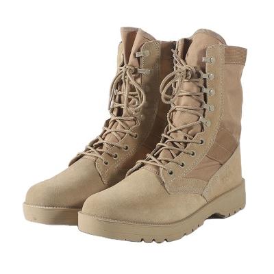 China Cushioning Altama Men's Combat Shoes Outdoor Cushioning Hard-Soled High-Waist High-Top Training Special Boosting Botas for sale